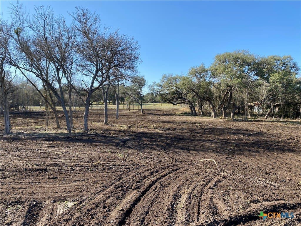 10.45 acres in Goliad County gallery image 4