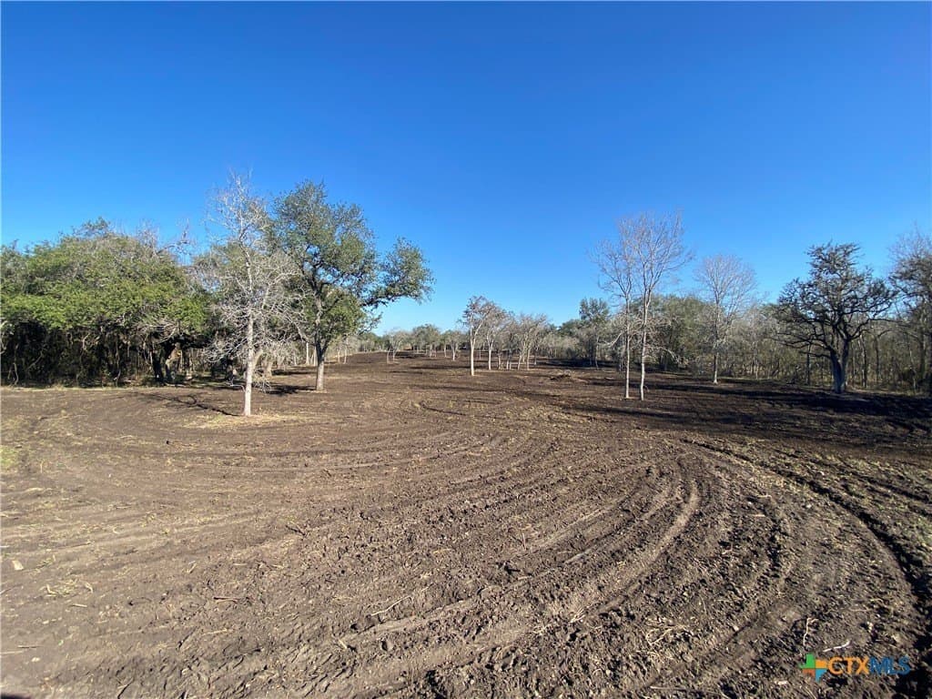 10.45 acres in Goliad County gallery image 3
