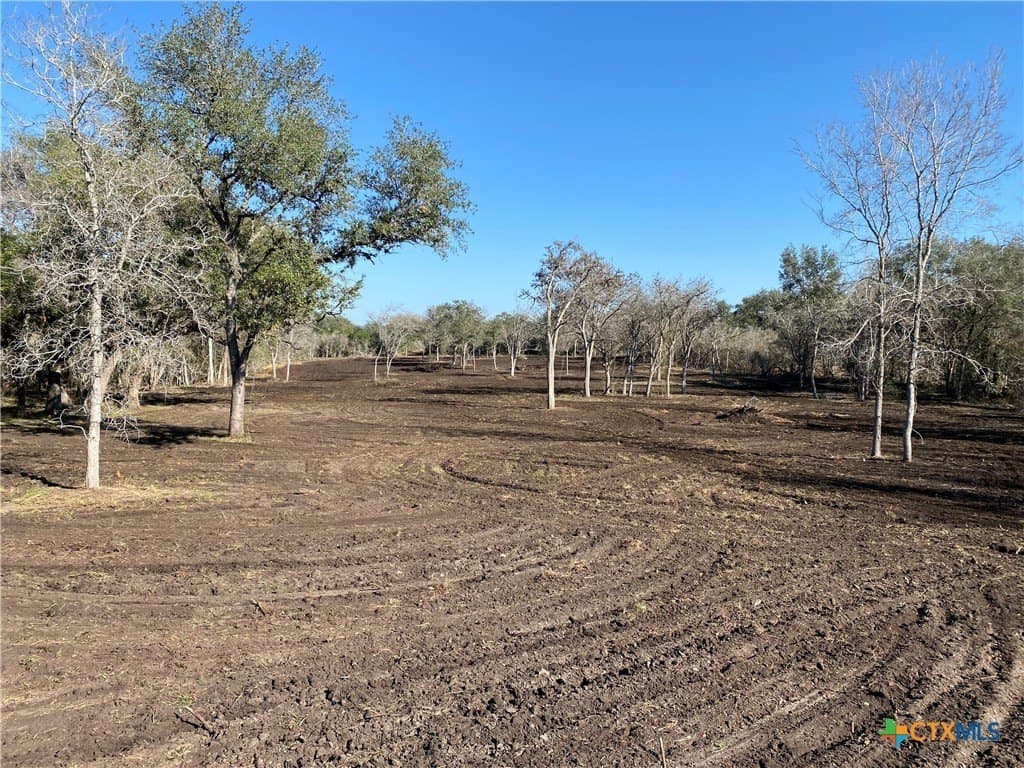10.45 acres in Goliad County - photo 6