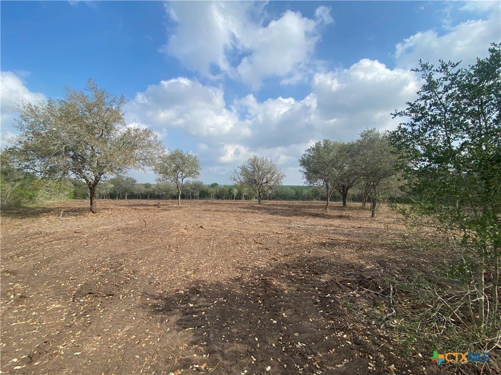 10.45 acres in Goliad County - photo 7
