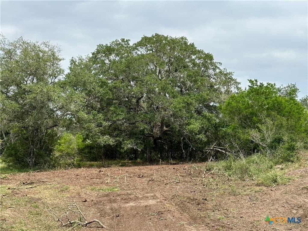 10.45 acres in Goliad County - photo 9