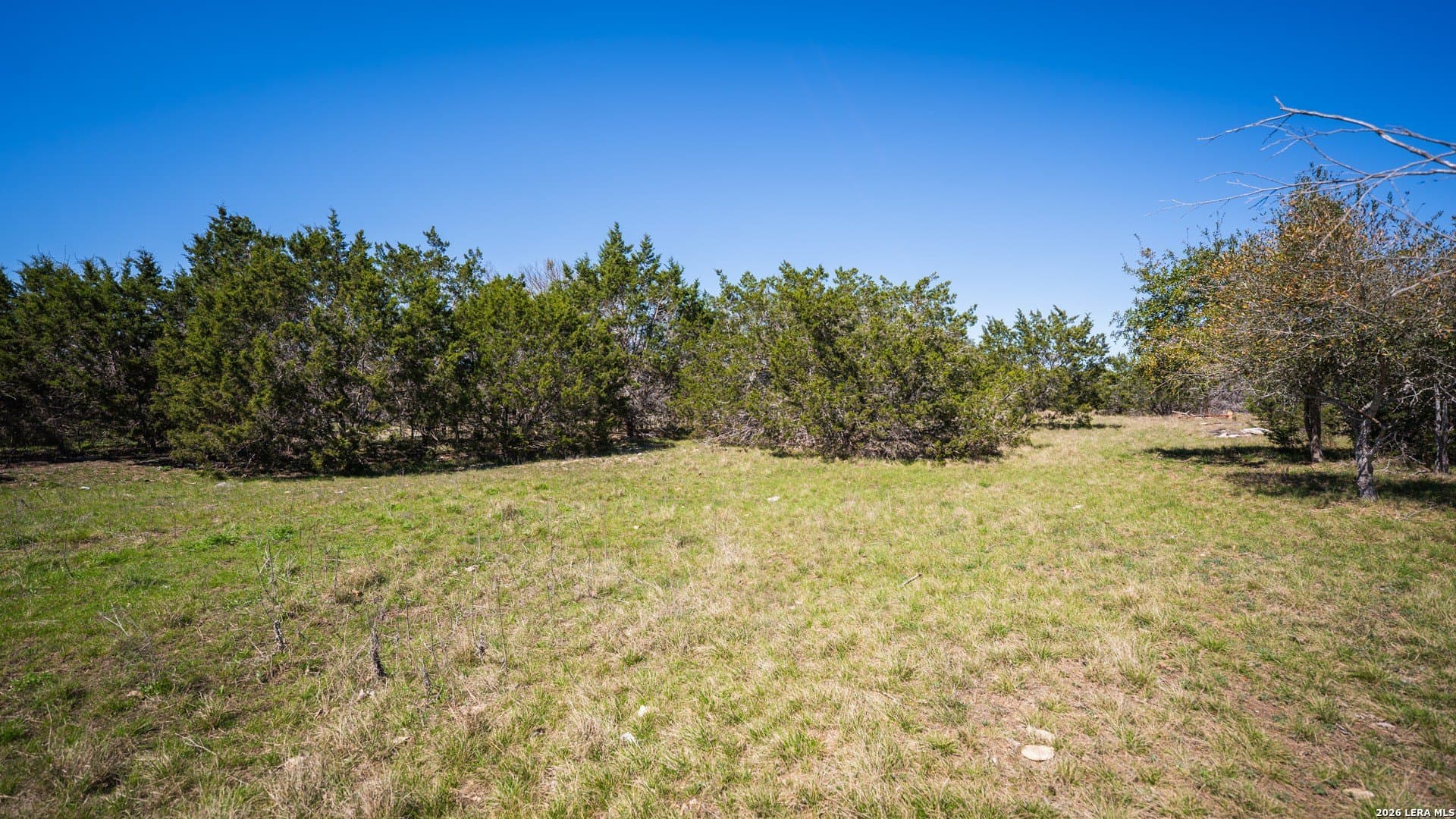 20.69 acres in Comal County - photo 9