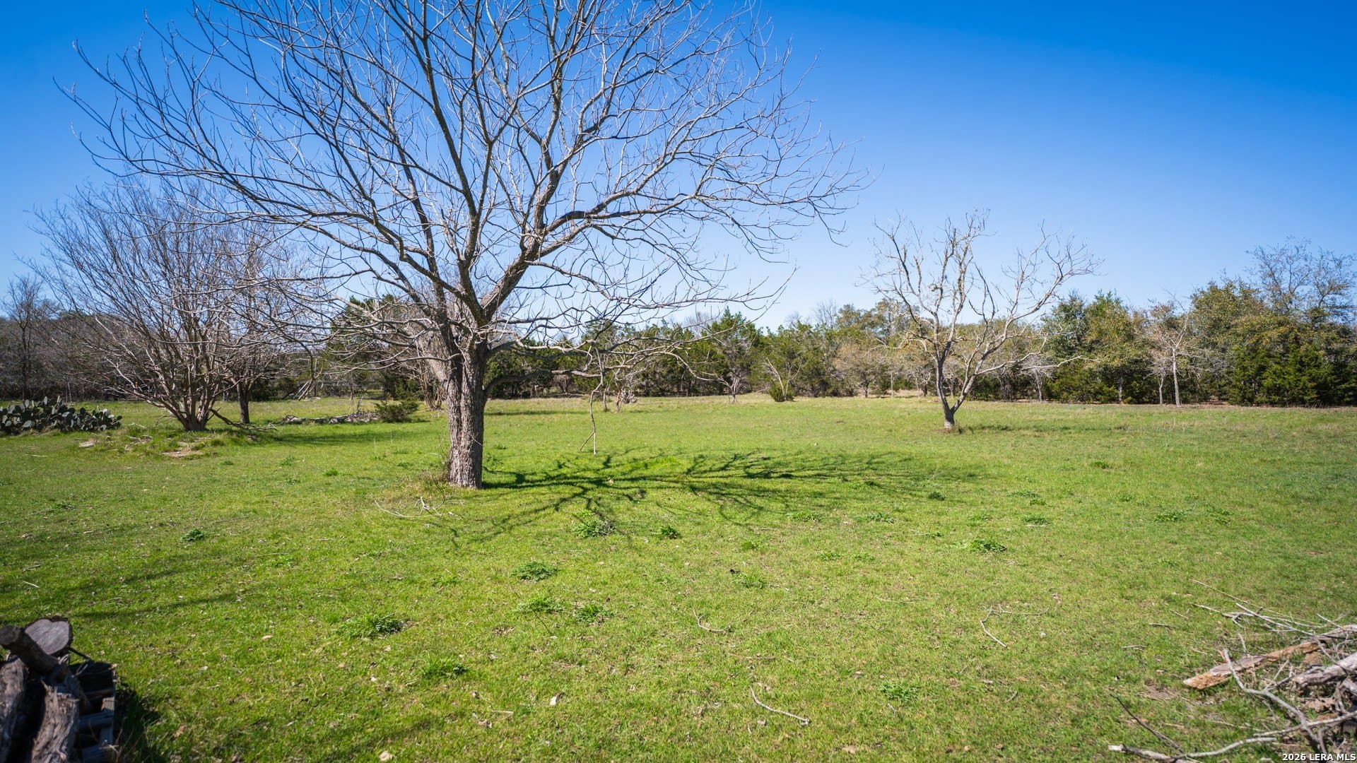 20.69 acres in Comal County - photo 12
