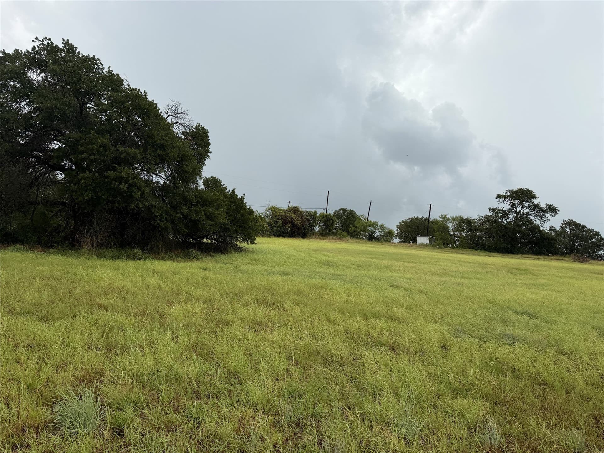 9.45 acres in Wise County gallery image 3