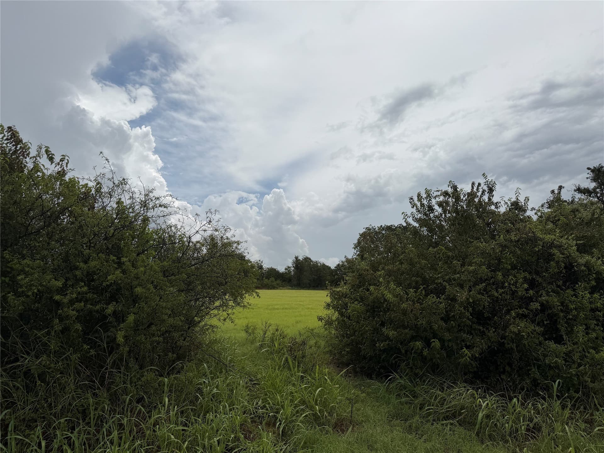 9.45 acres in Wise County - photo 13
