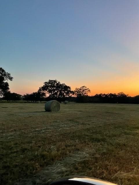 61.32 acres in Rains County