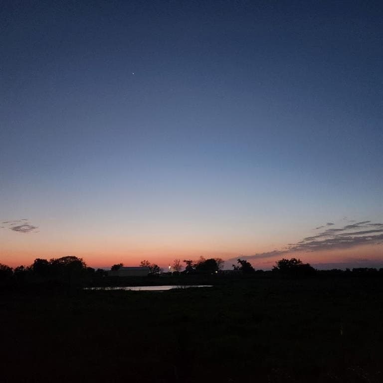 61.32 acres in Rains County gallery image 4