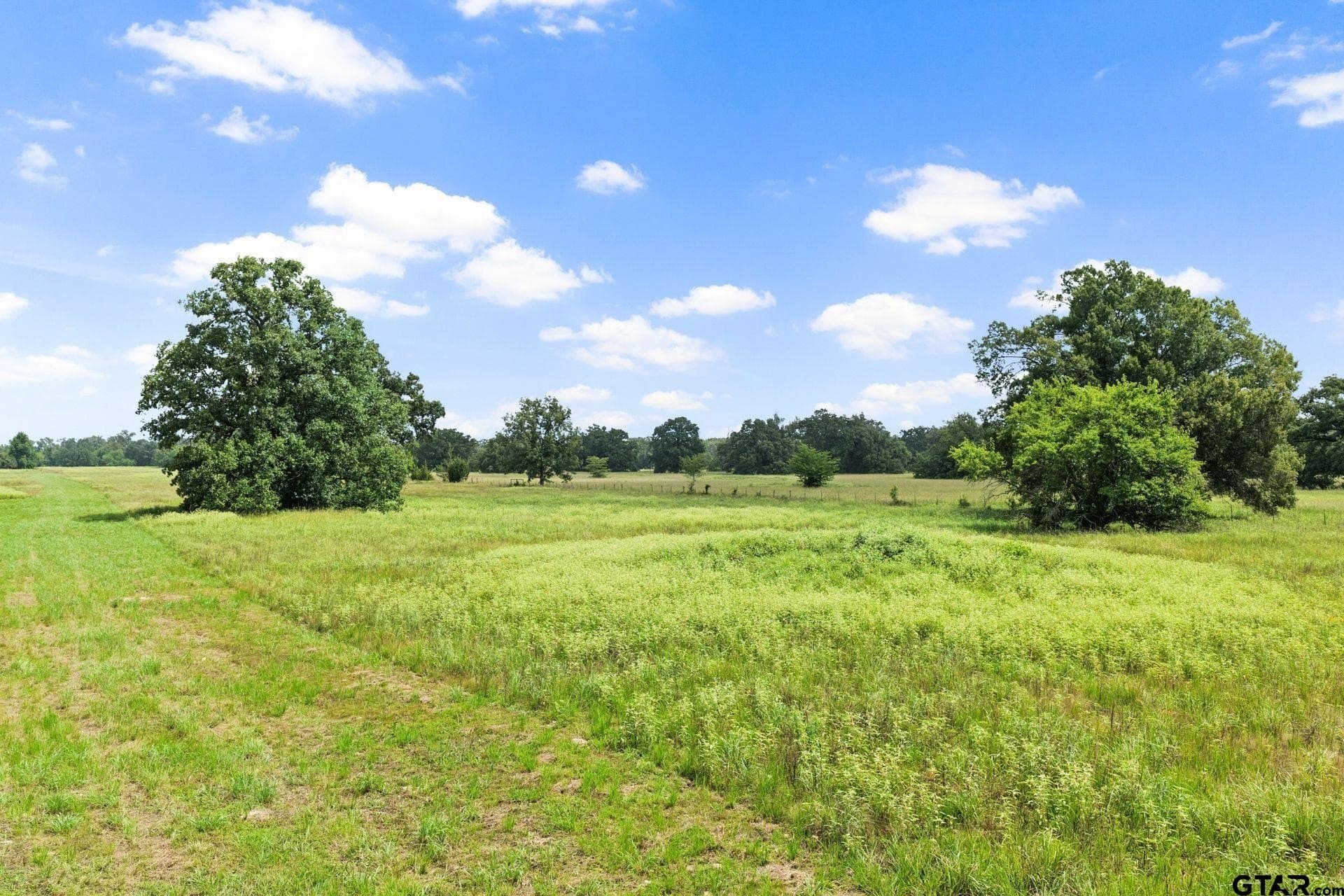 20 acres in Franklin County gallery image 4