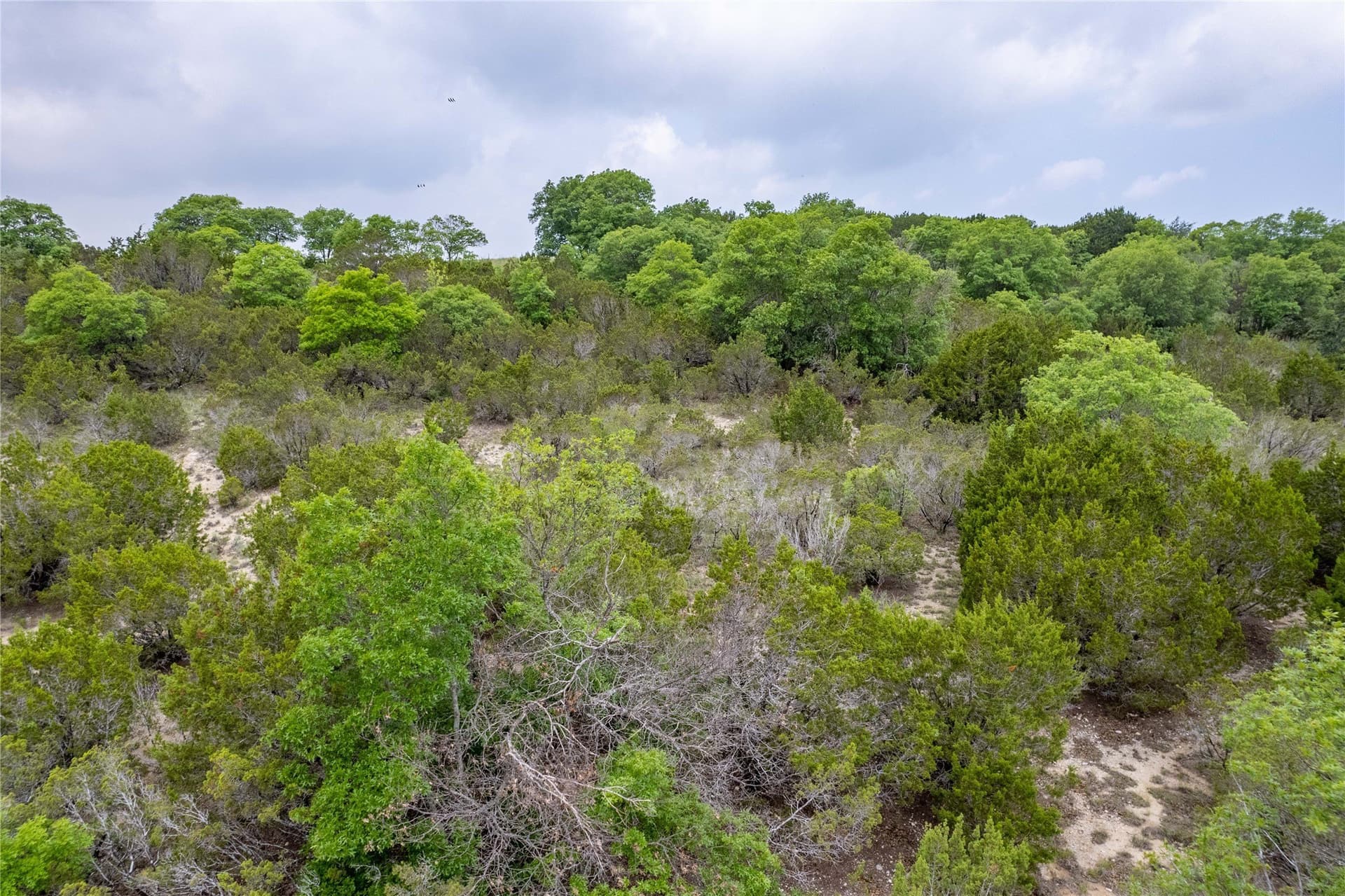 1.01 acres in Erath County - photo 22