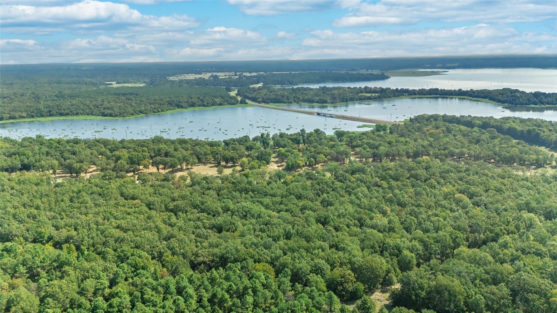 1.49 acres in Wood County - photo 6