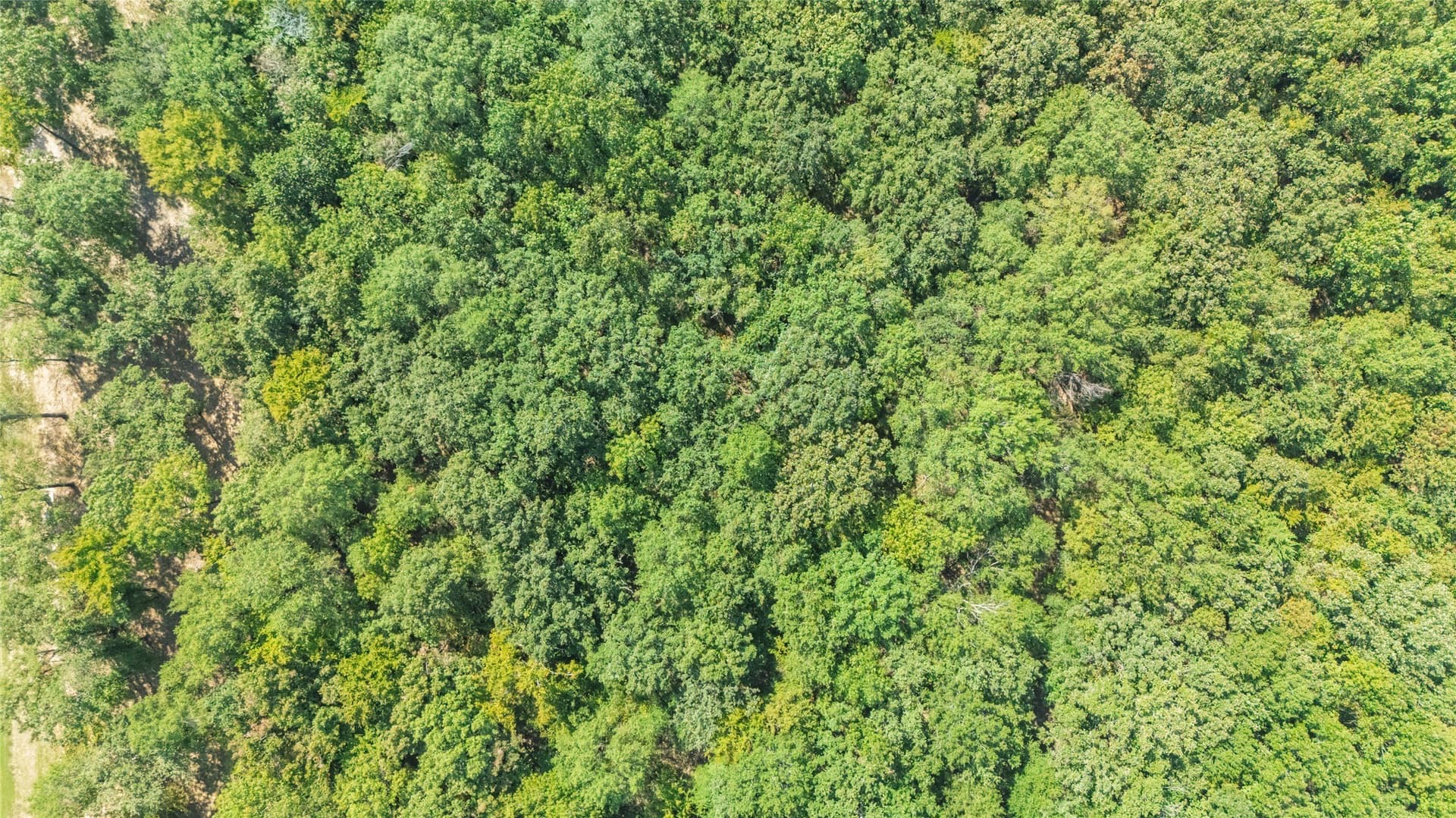 1.49 acres in Wood County - photo 5