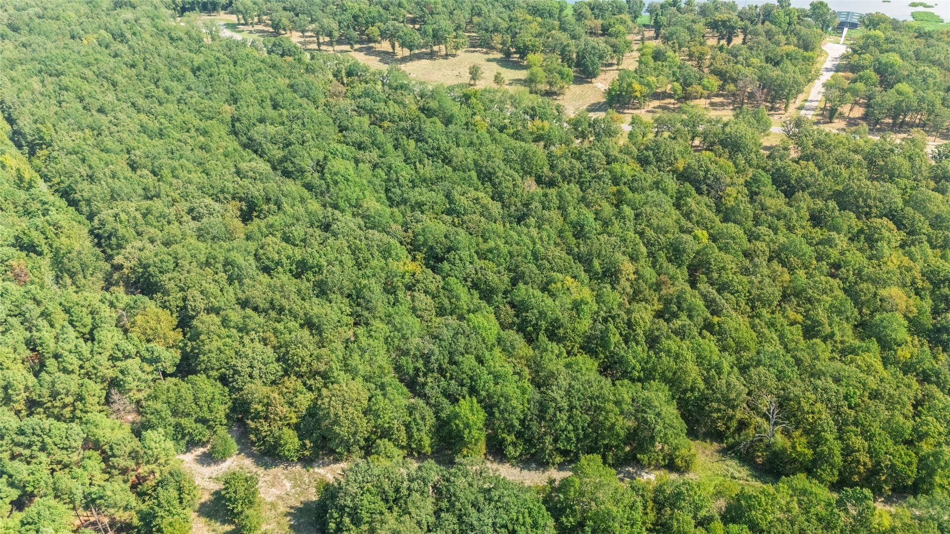 1.49 acres in Wood County - photo 10