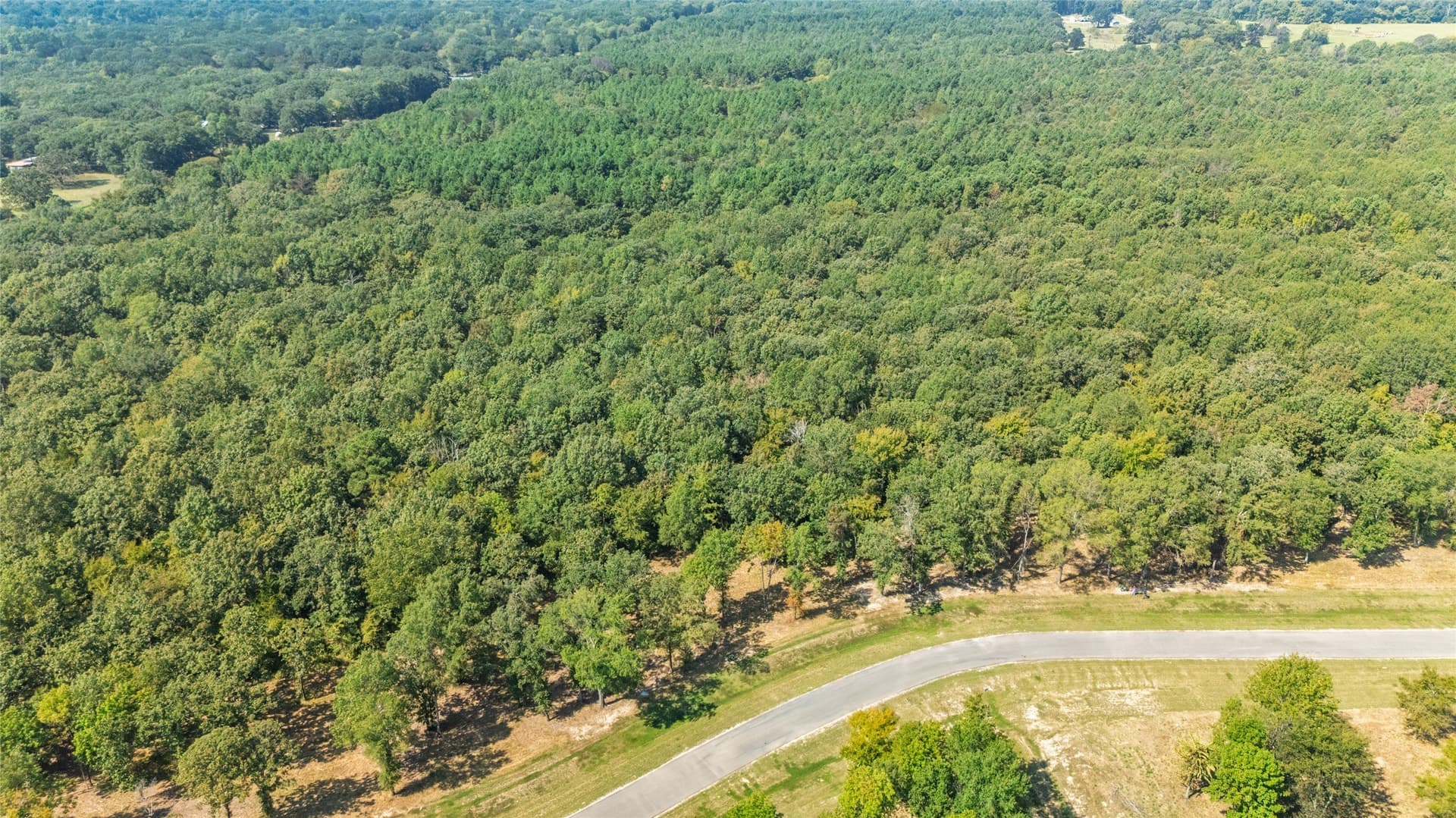 1.49 acres in Wood County - photo 12