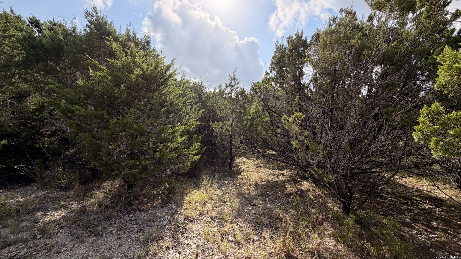 0.24 acres in Comal County - photo 4
