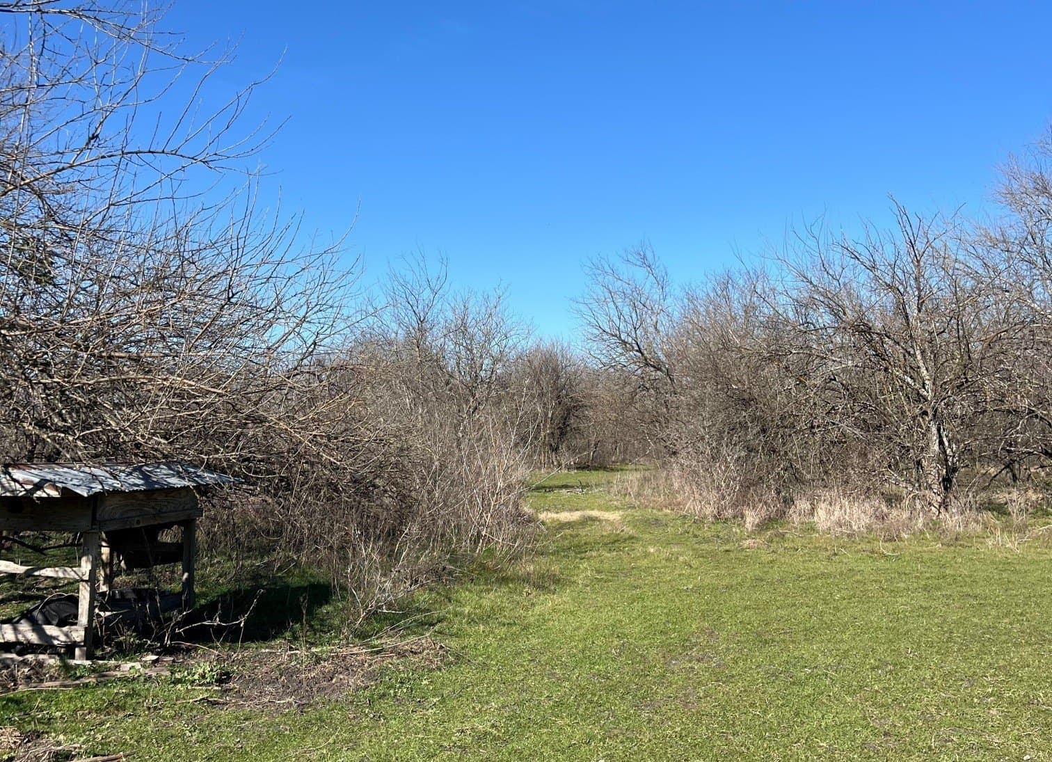 214.61 acres in Kaufman County - photo 22