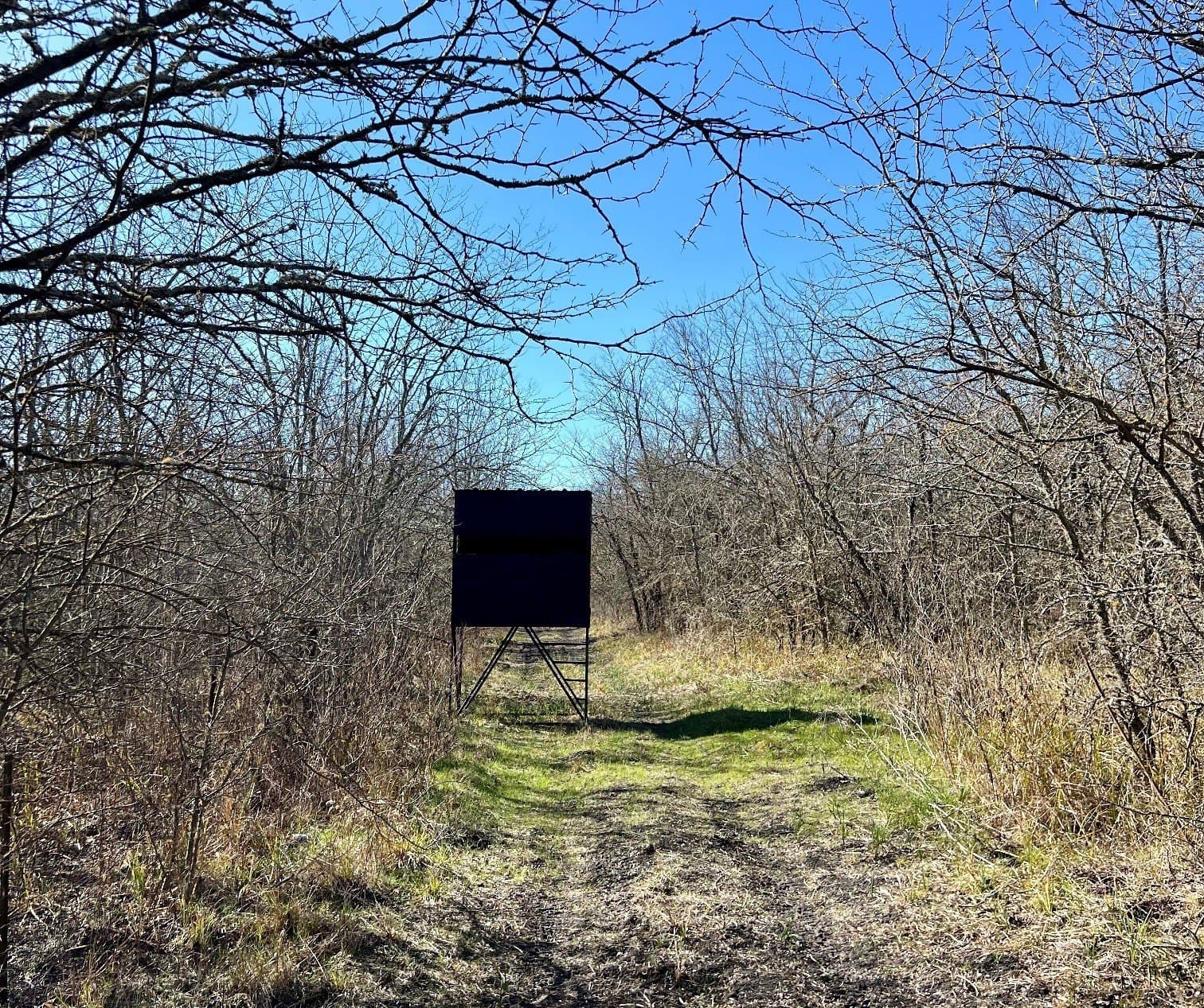 214.61 acres in Kaufman County - photo 21