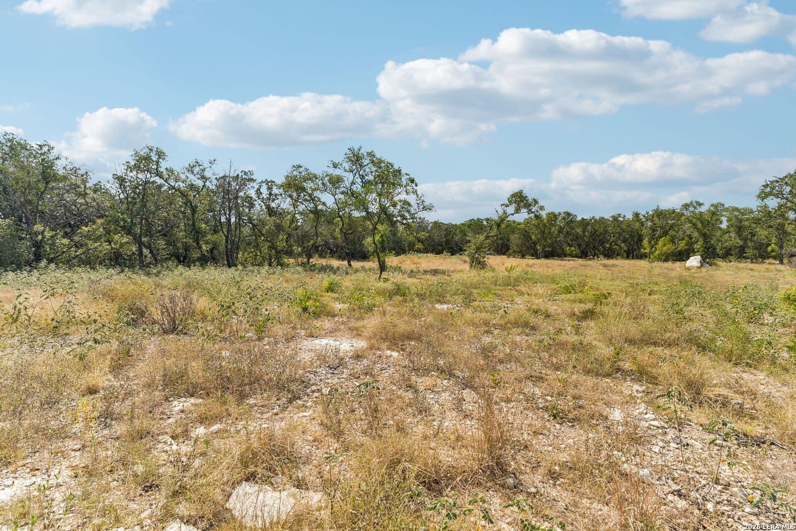 10.01 acres in Medina County - photo 29