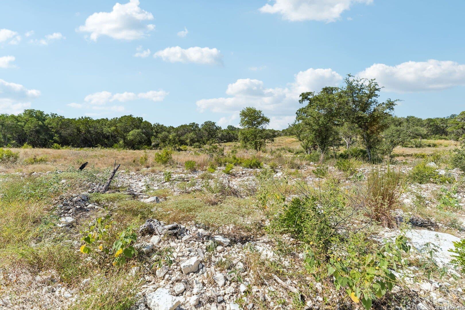 10.01 acres in Medina County - photo 24
