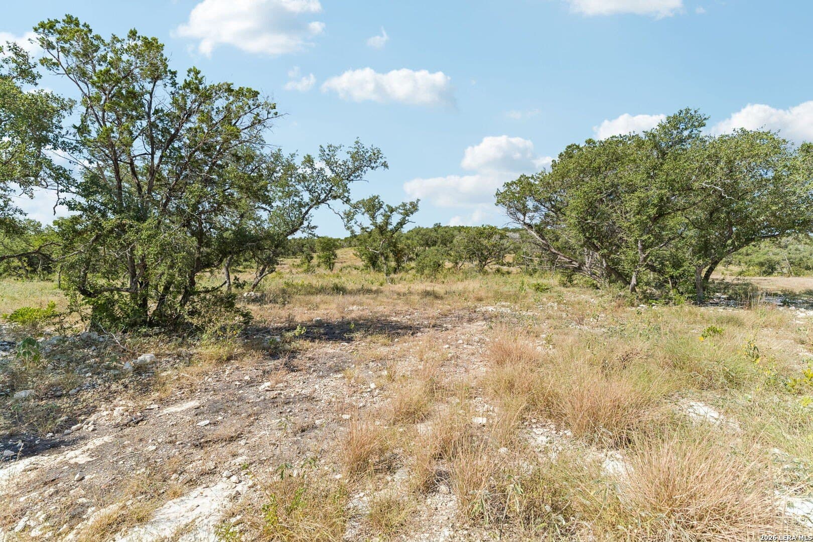 10.01 acres in Medina County - photo 27