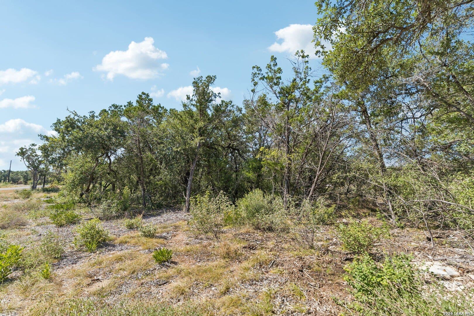 10.01 acres in Medina County - photo 33