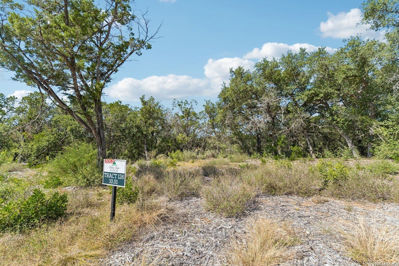10.01 acres in Medina County - photo 17