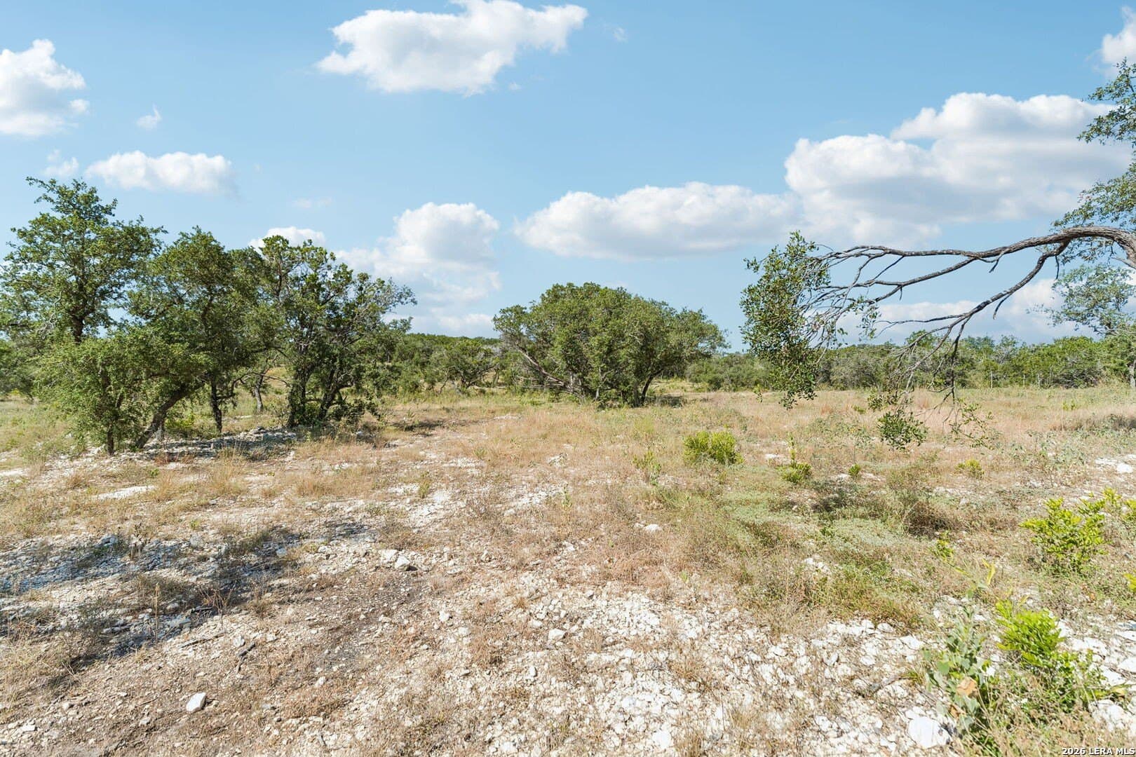 10.01 acres in Medina County - photo 28