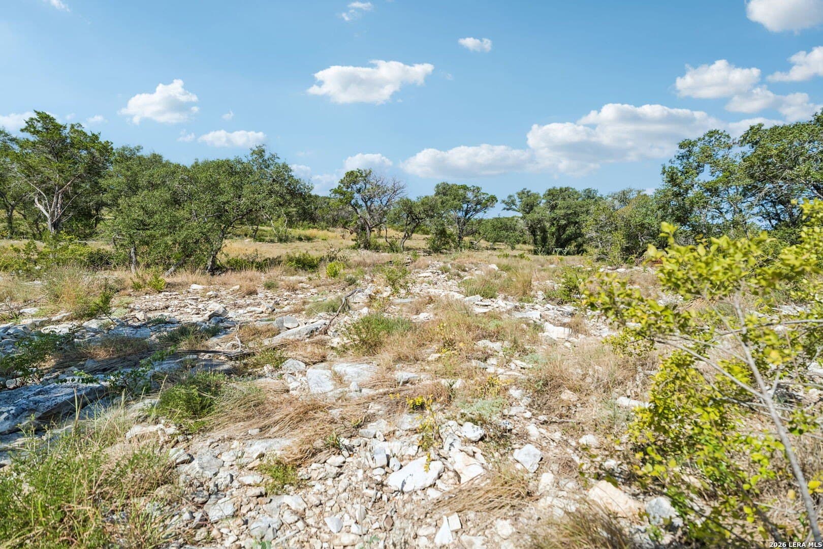 10.01 acres in Medina County - photo 23