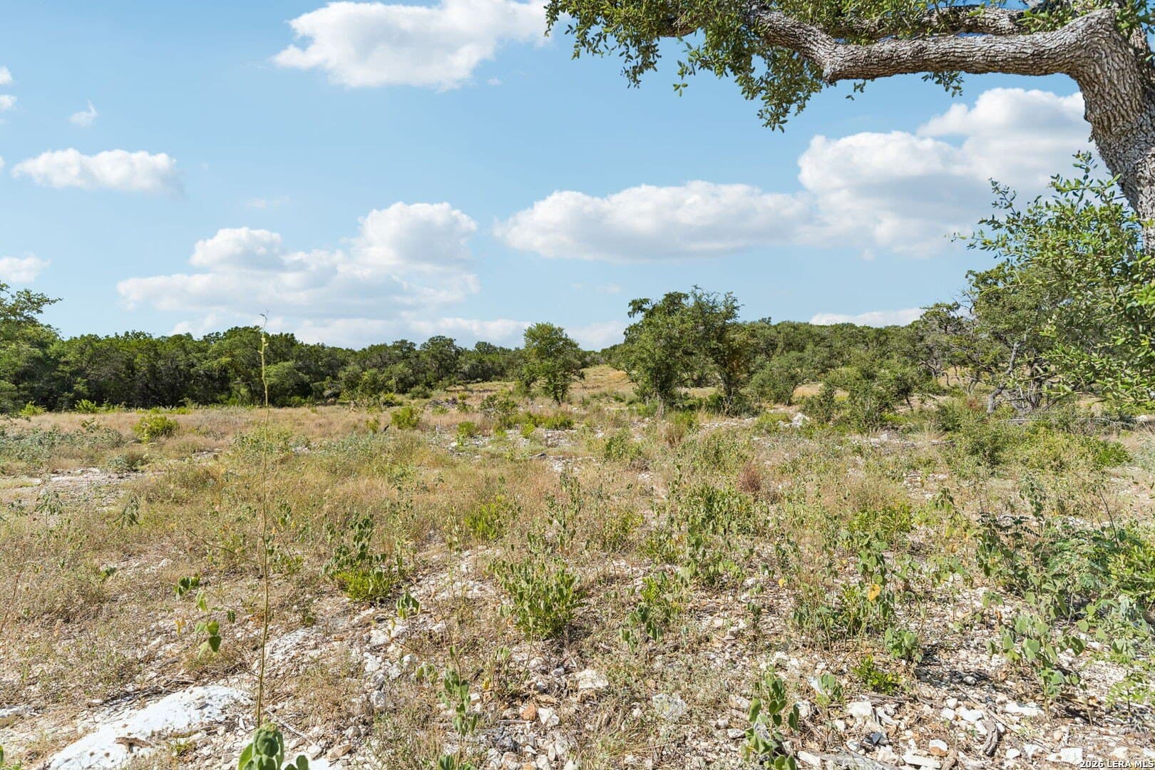10.01 acres in Medina County - photo 25