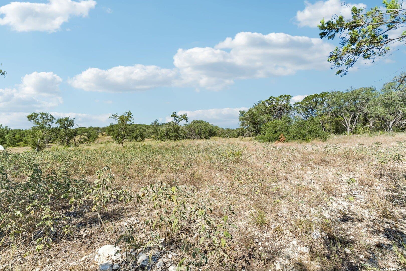 10.01 acres in Medina County - photo 32