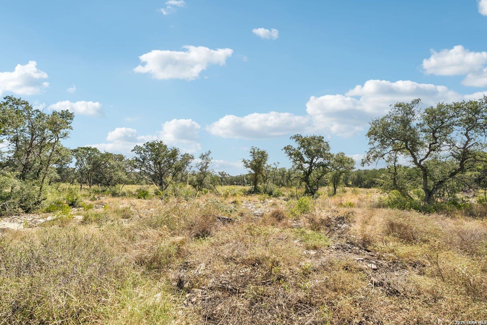 10.01 acres in Medina County - photo 19