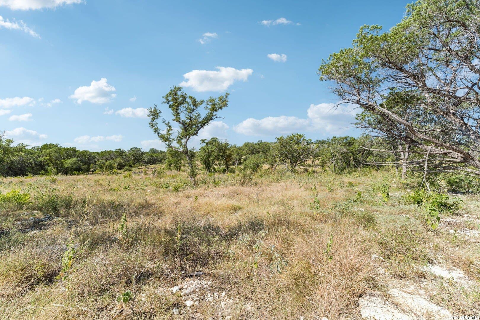 10.01 acres in Medina County - photo 26