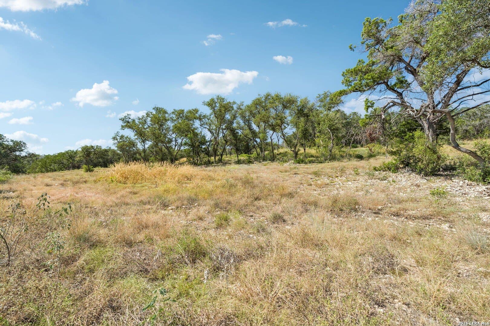 10.01 acres in Medina County - photo 20