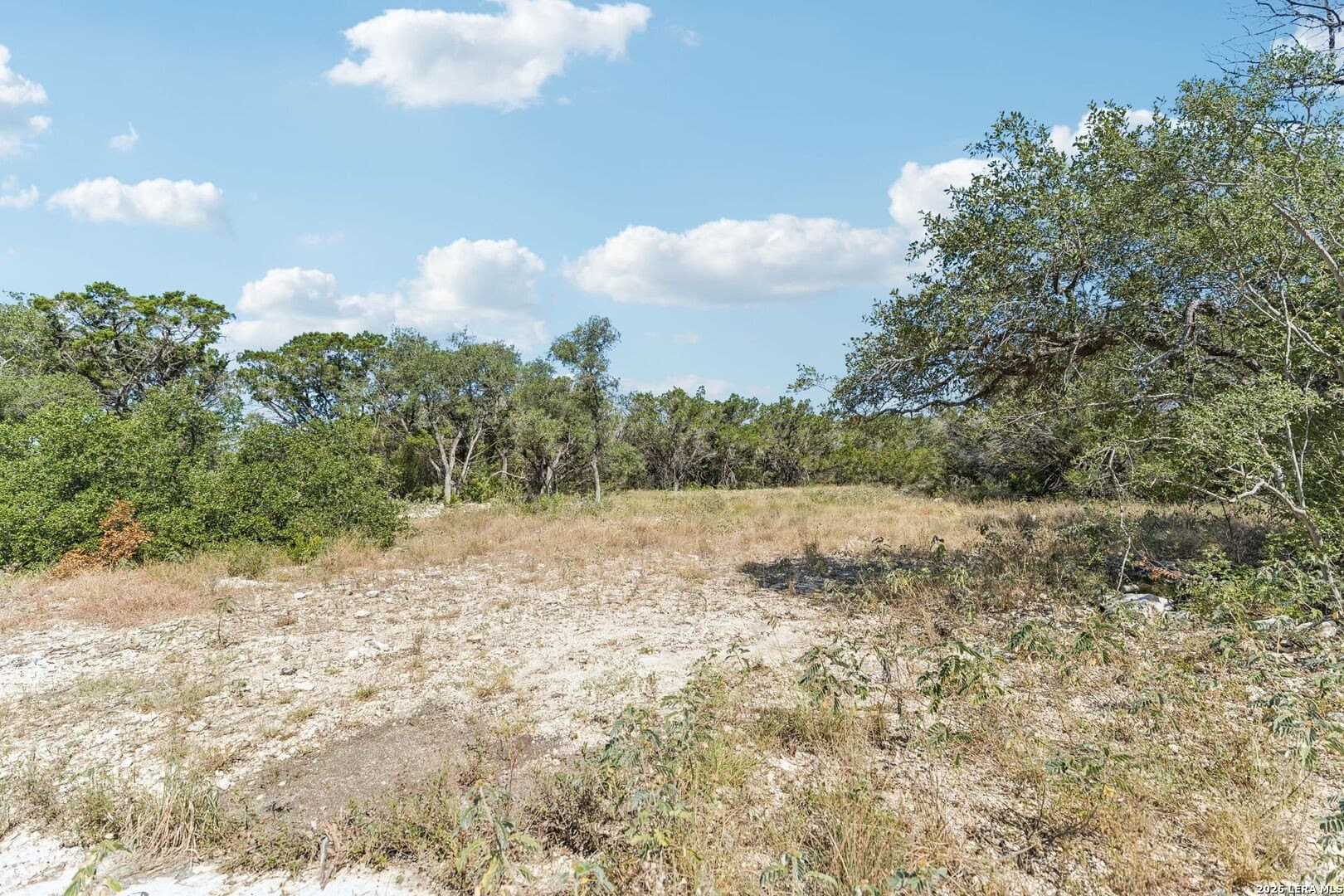 10.01 acres in Medina County - photo 31