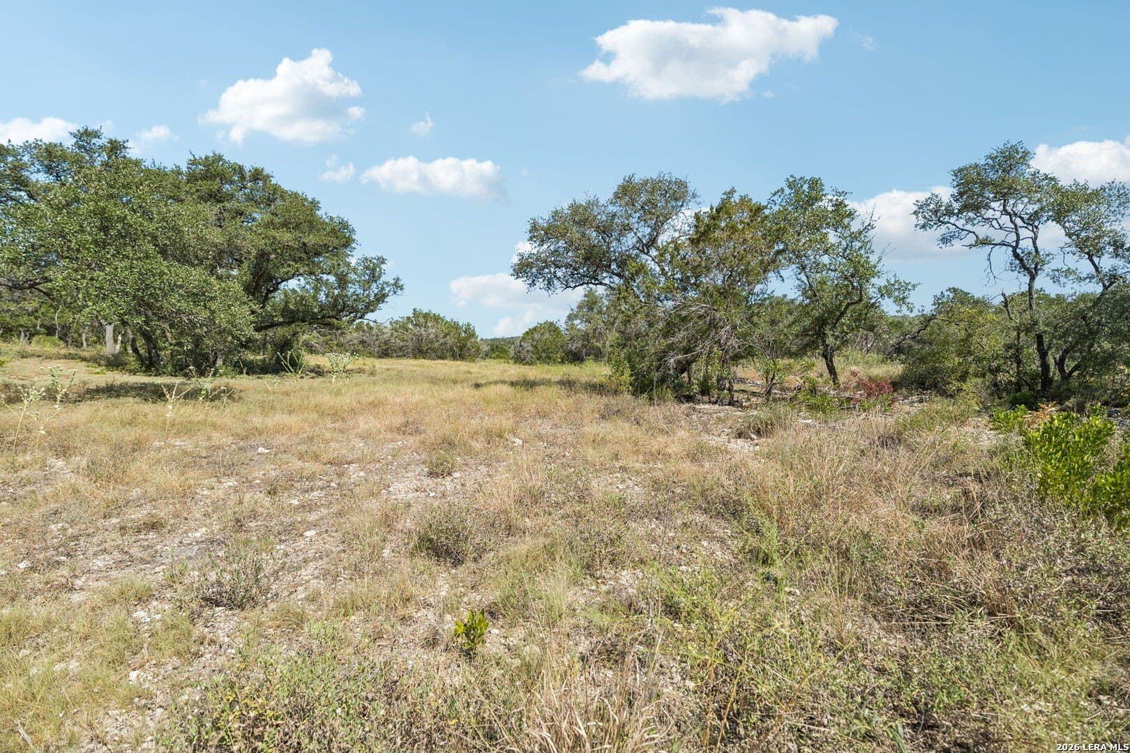 10.01 acres in Medina County - photo 21
