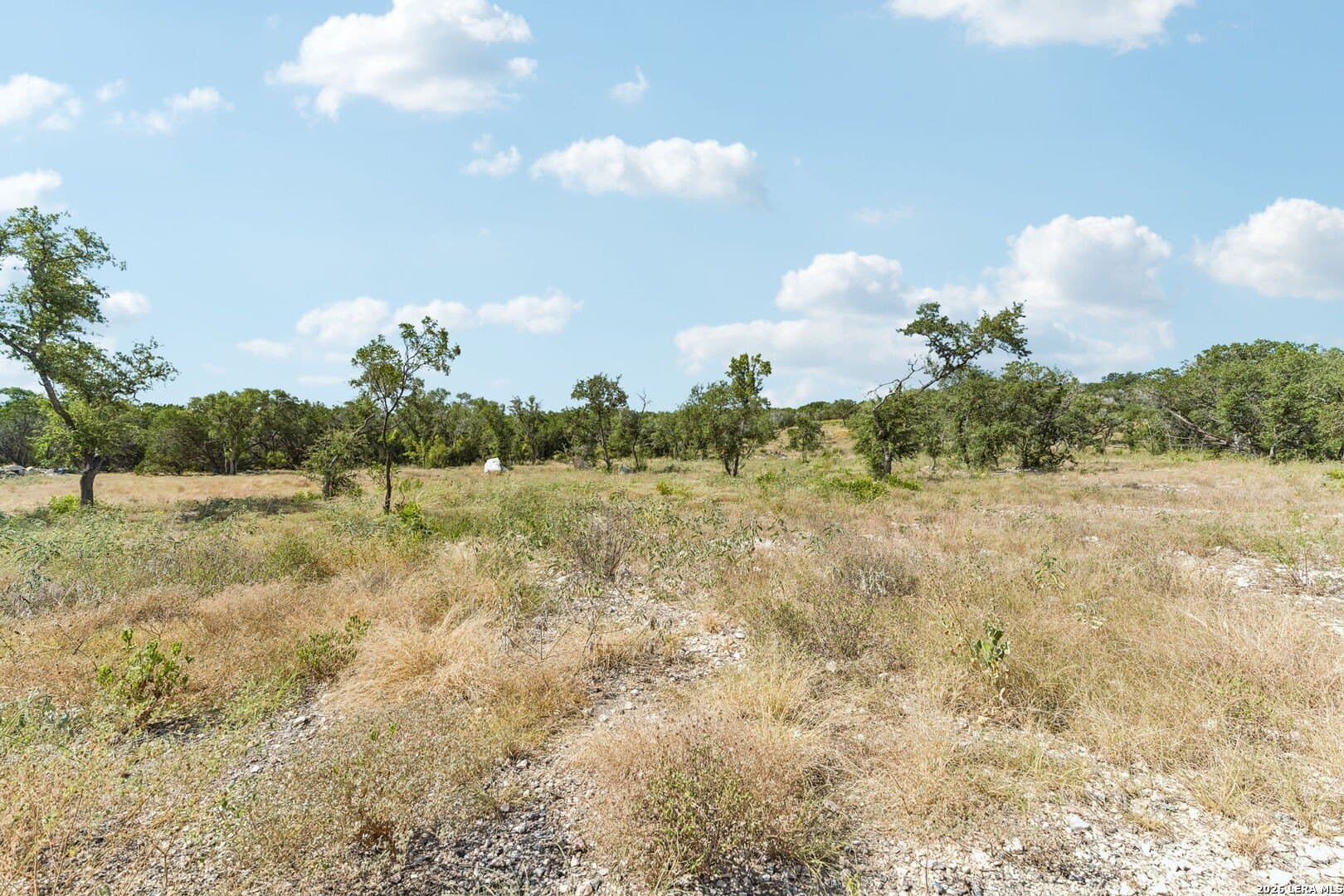 10.01 acres in Medina County - photo 30
