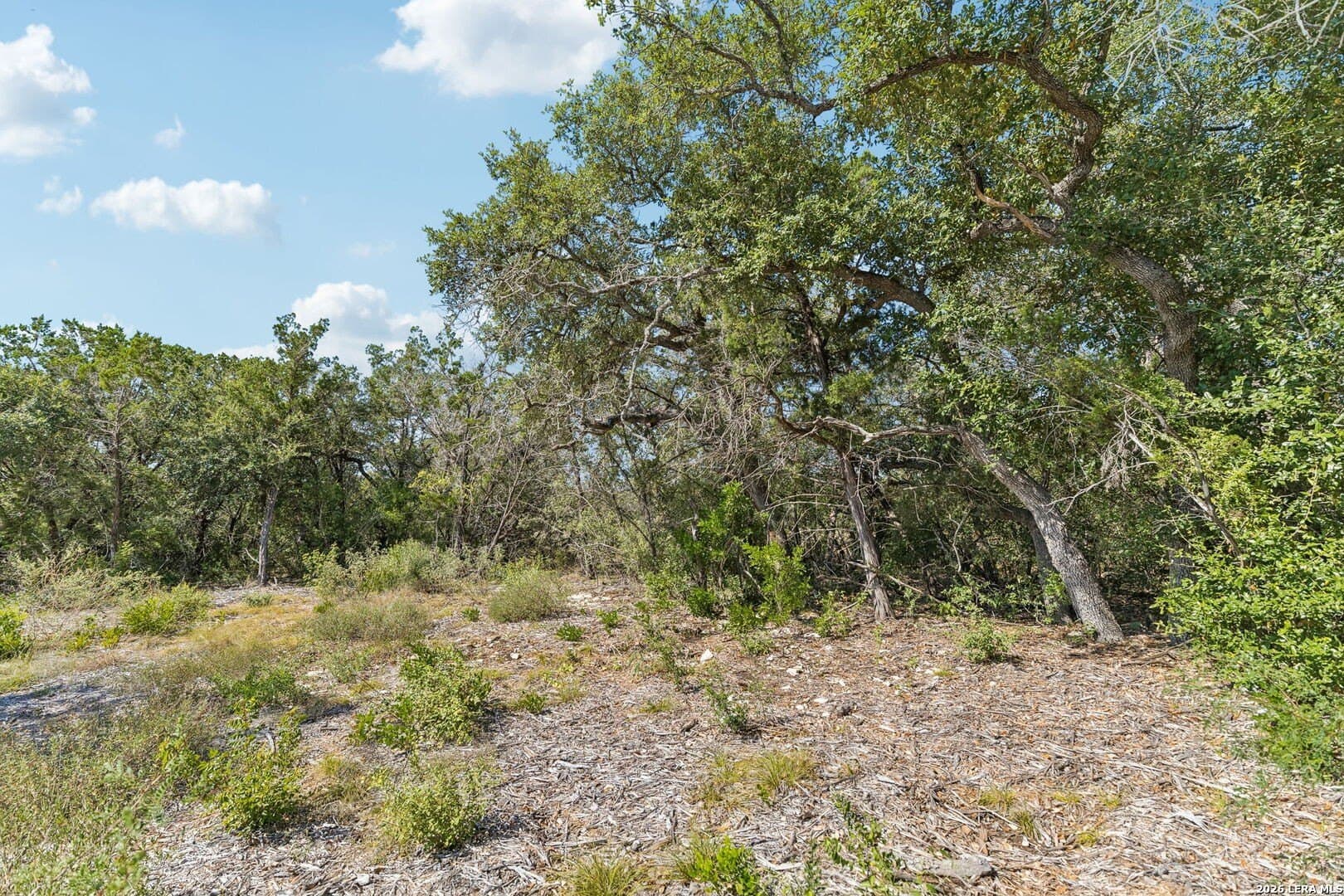 10.01 acres in Medina County - photo 34