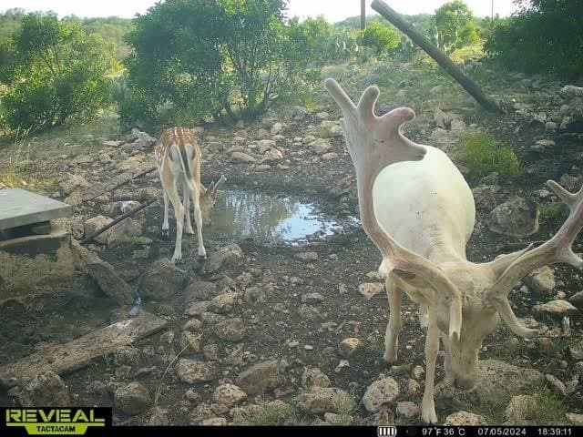 34.27 acres in Edwards County - photo 62