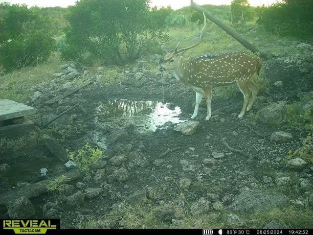 34.27 acres in Edwards County - photo 59