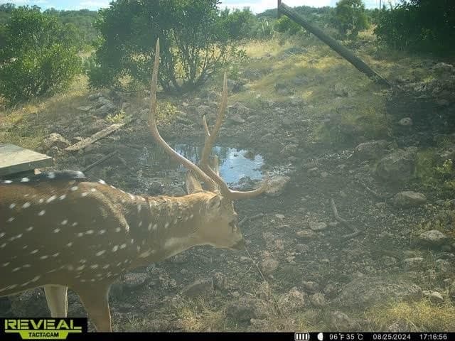 34.27 acres in Edwards County - photo 58