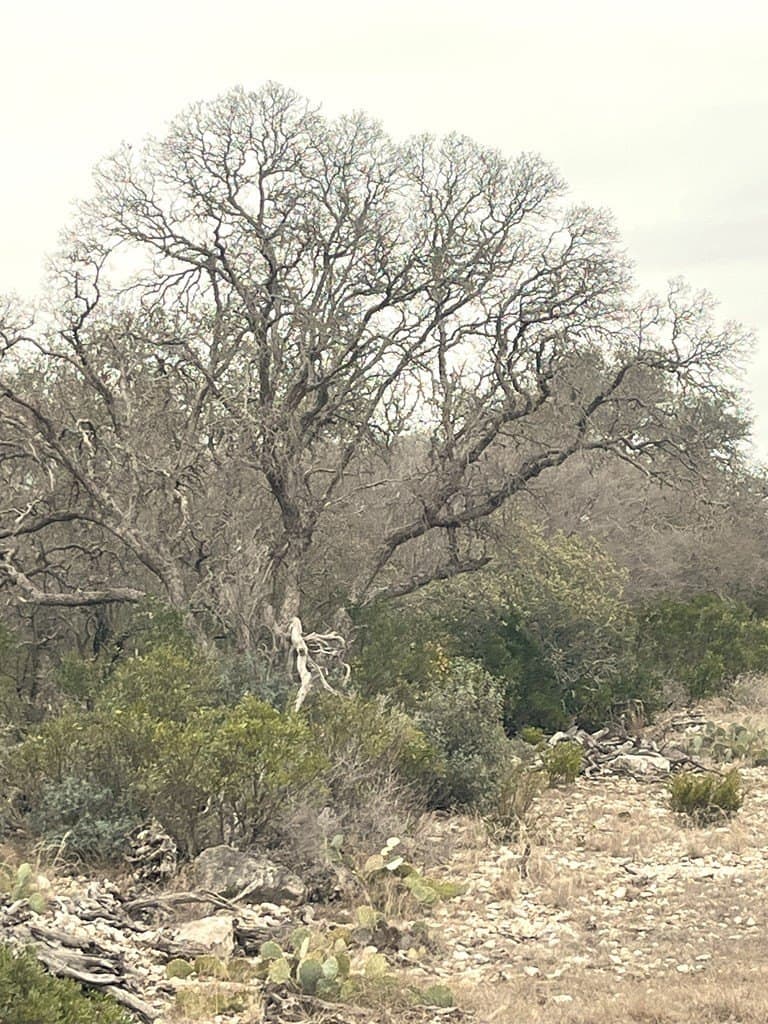 34.27 acres in Edwards County - photo 45
