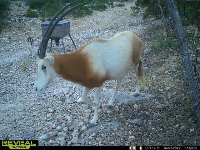 34.27 acres in Edwards County - photo 53
