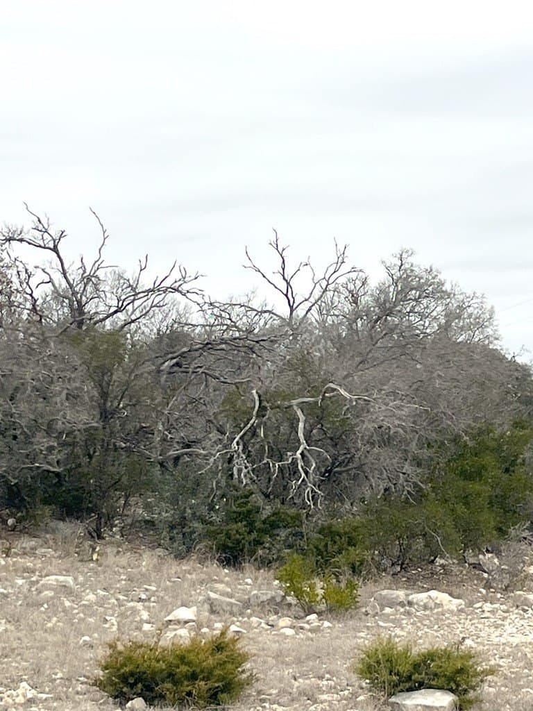 34.27 acres in Edwards County - photo 48