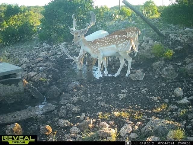 34.27 acres in Edwards County - photo 61