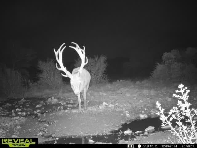 34.27 acres in Edwards County - photo 56