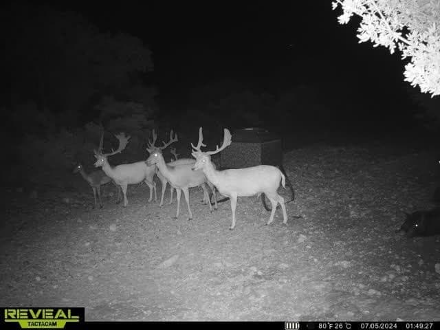 34.27 acres in Edwards County - photo 54