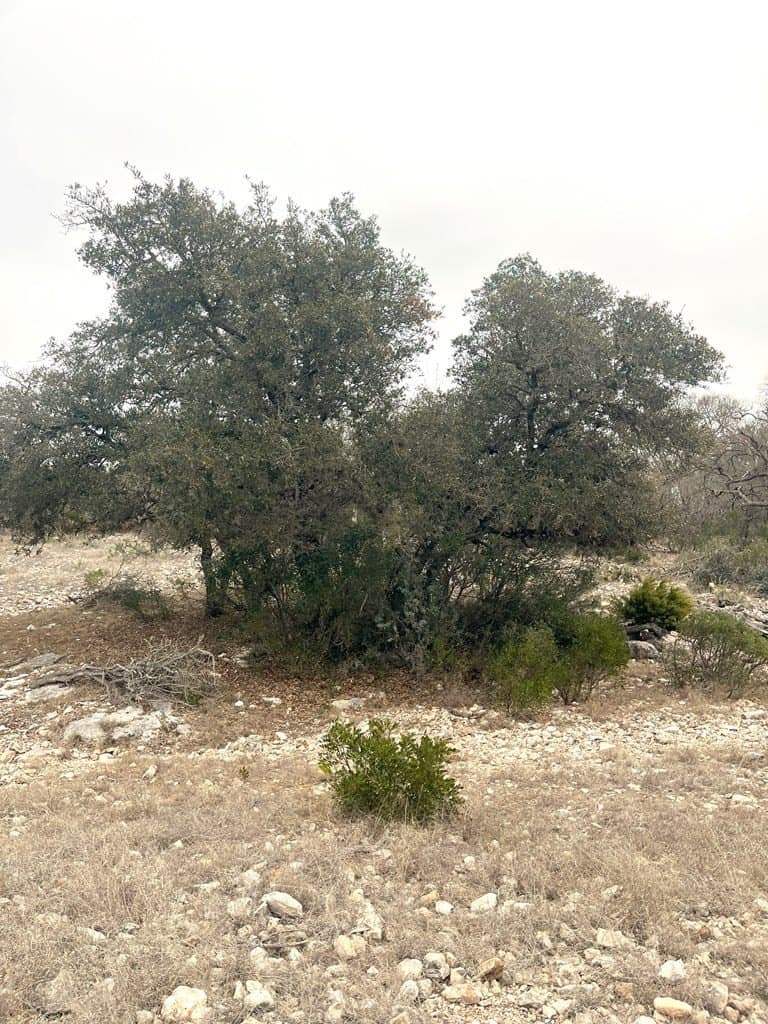 34.27 acres in Edwards County - photo 43