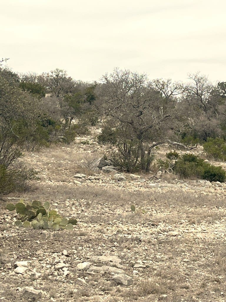 34.27 acres in Edwards County - photo 46