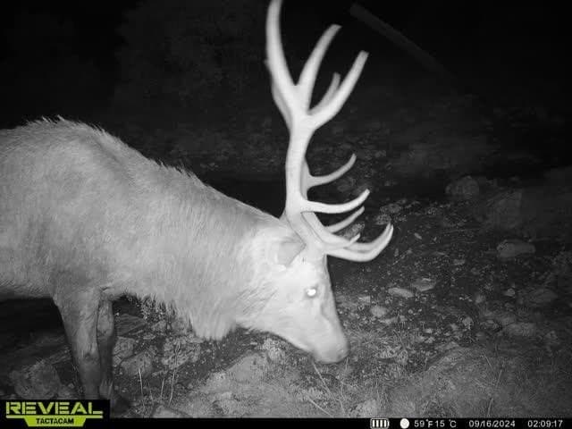 34.27 acres in Edwards County - photo 60
