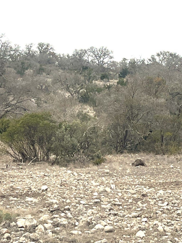 34.27 acres in Edwards County - photo 7