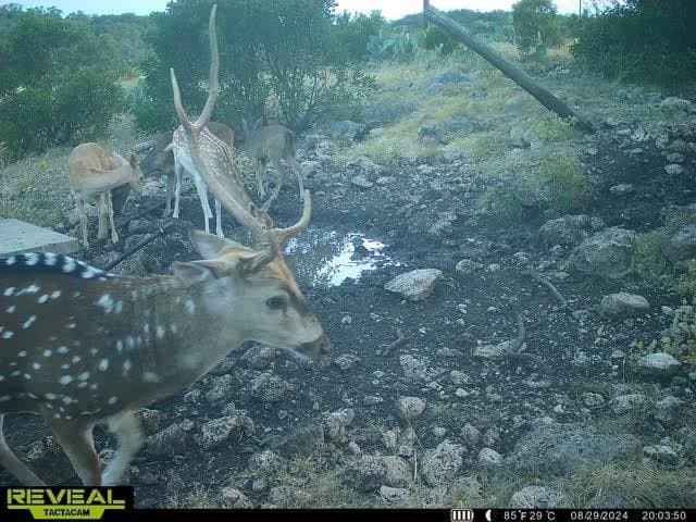 34.27 acres in Edwards County - photo 57